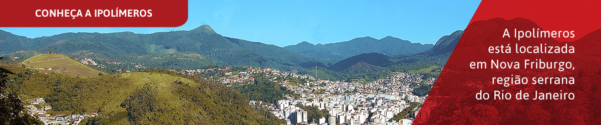 Banner 100 imagem